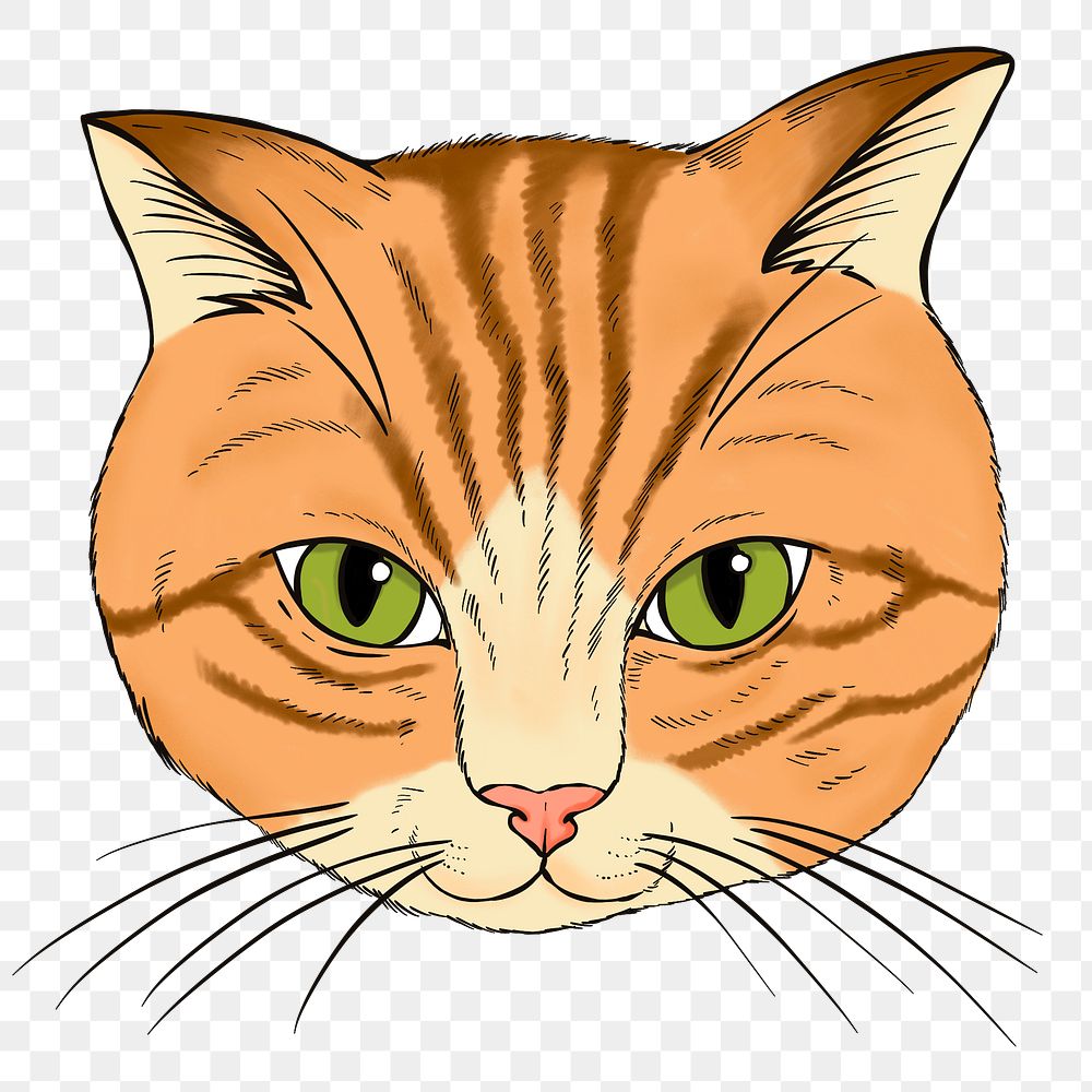 Hand drawn orange cat design element