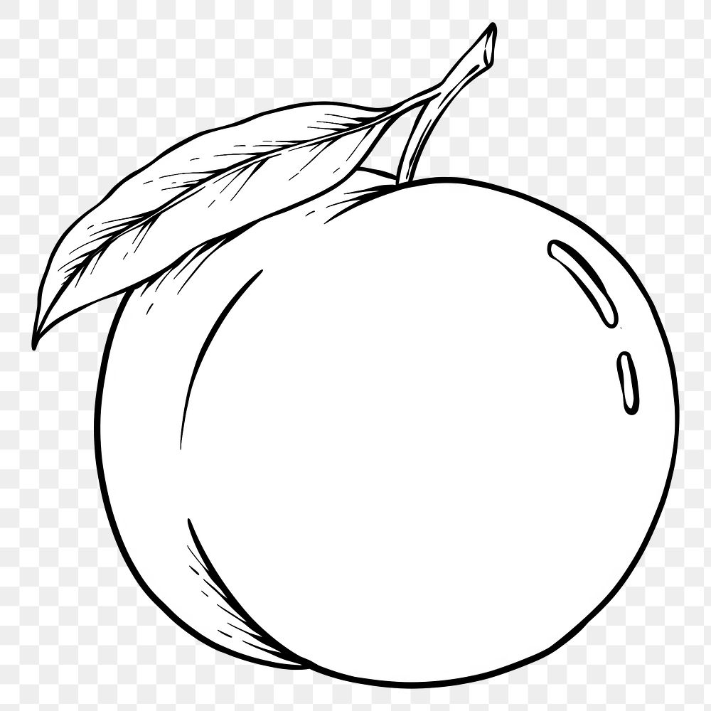 Hand drawn peach design element Free PNG Sticker rawpixel