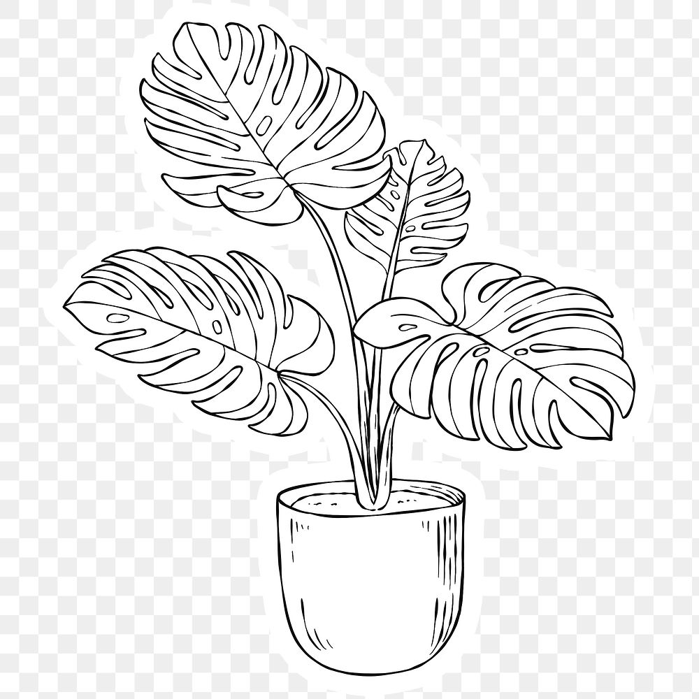 Png monstera plant black and white sticker
