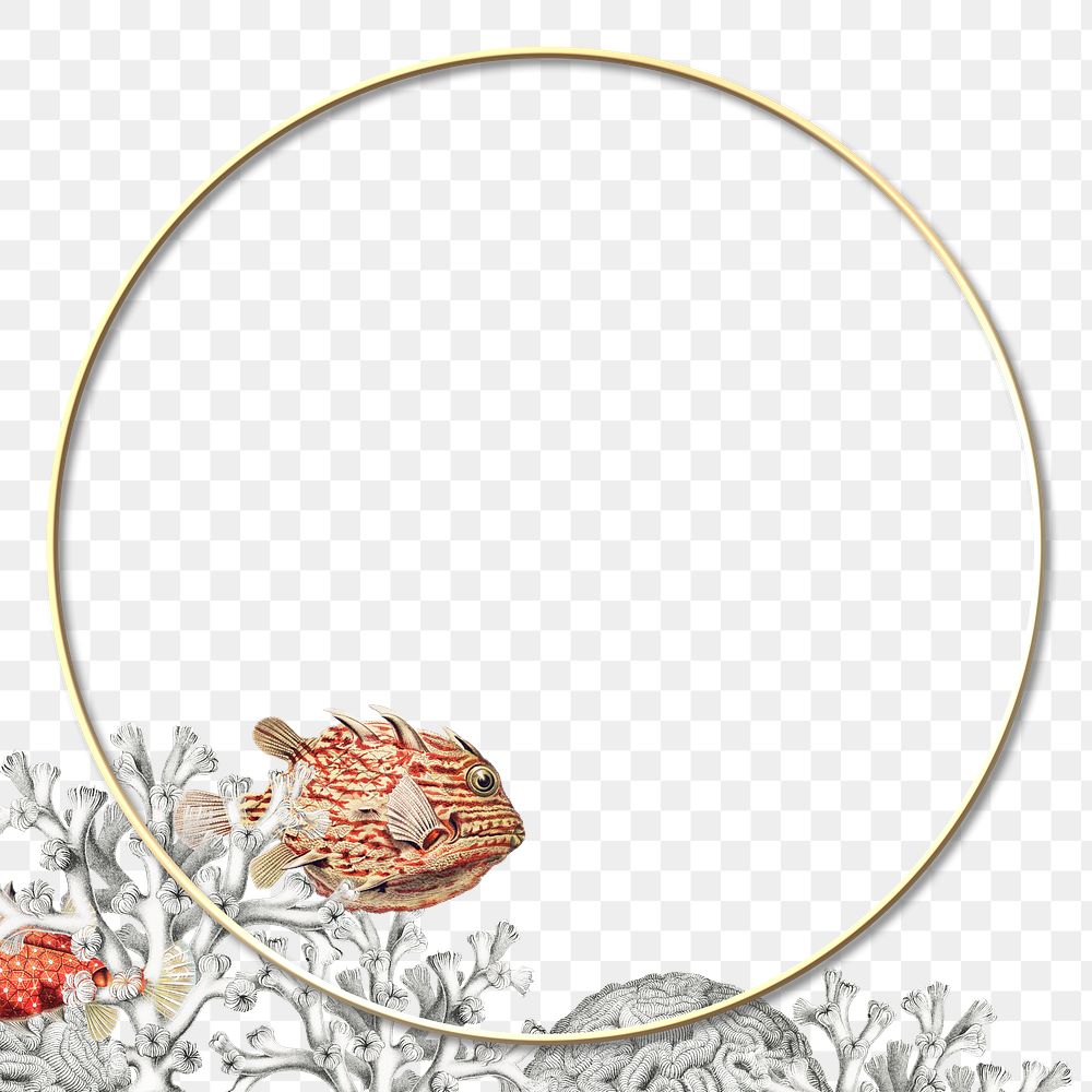 Marine life with coral reef frame design element
