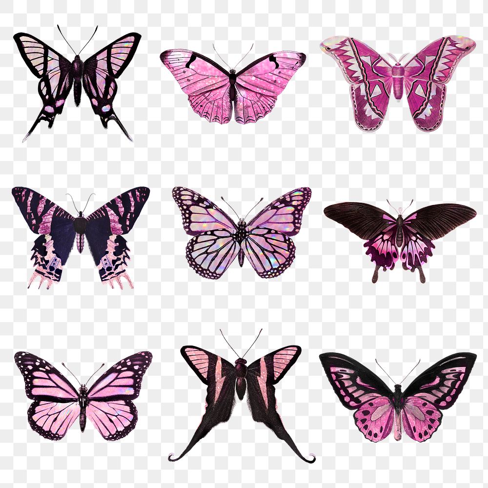 Download Pink holographic and glittery butterfly design element set