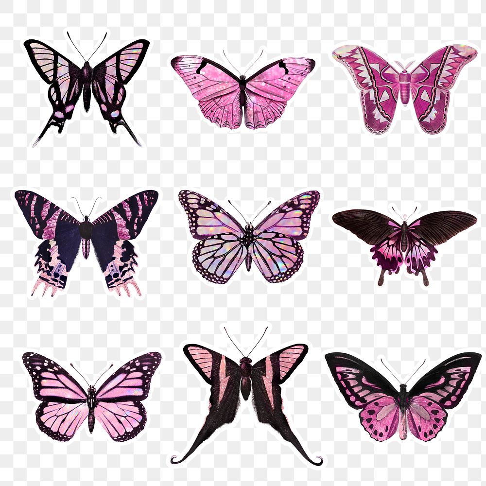 Pink holographic and glittery butterfly with a white border sticker design element set