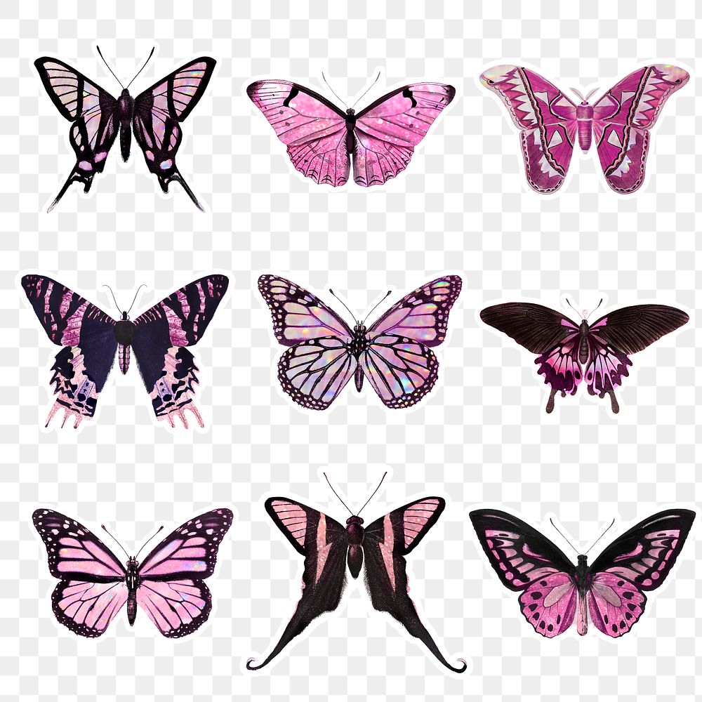 Pink holographic and glittery butterfly with a white border sticker design element set