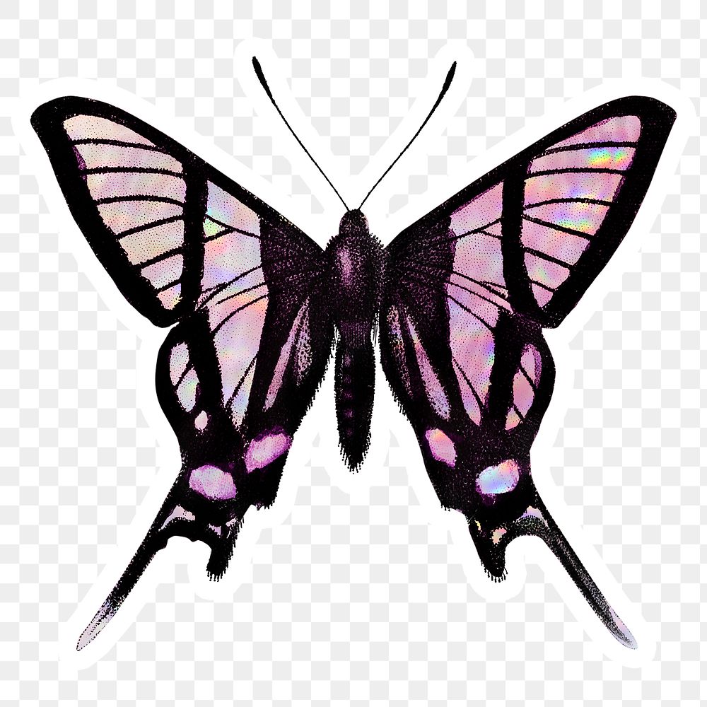 Pink hologrpahic butterfly with a white border sticker