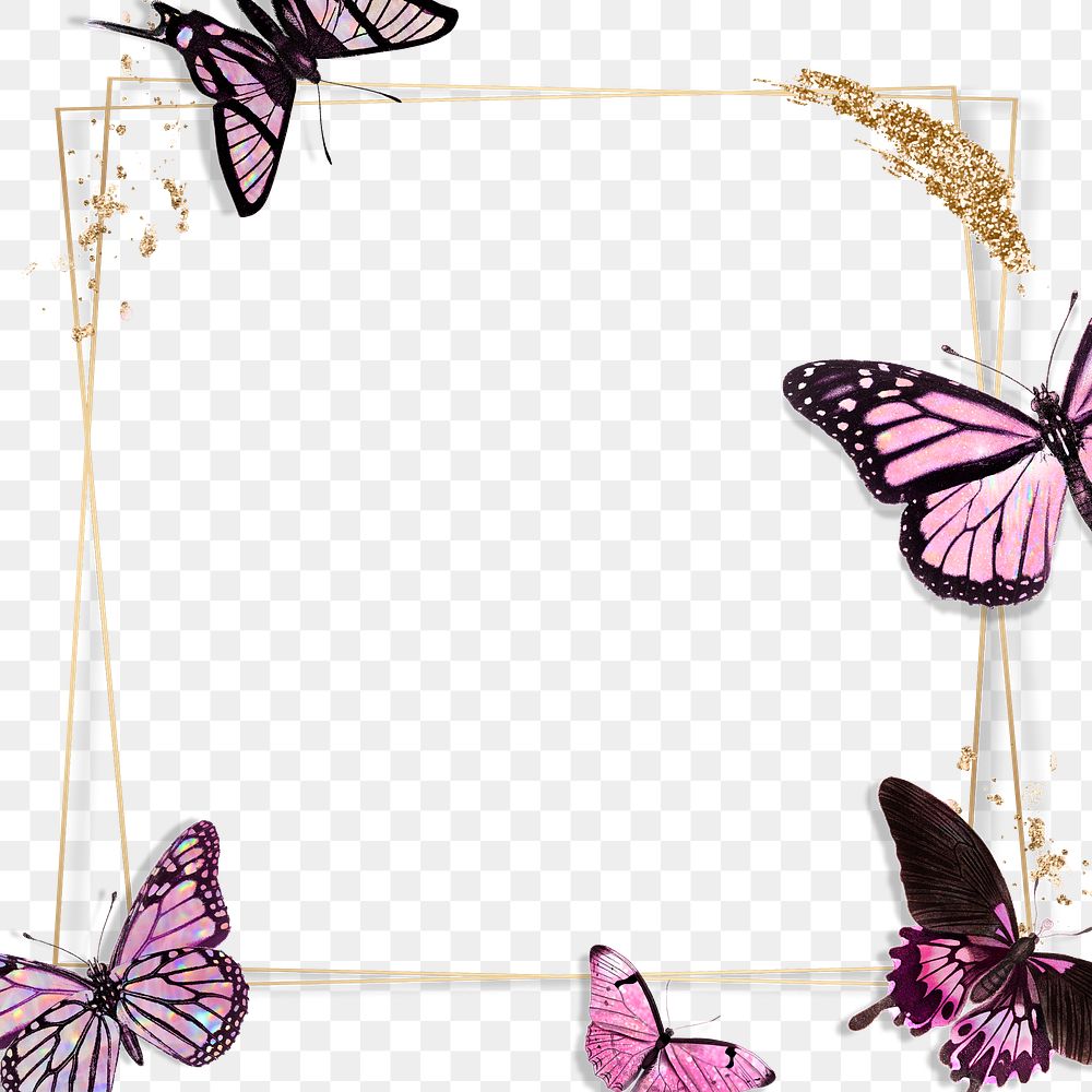 Square pink butterfly frame design element
