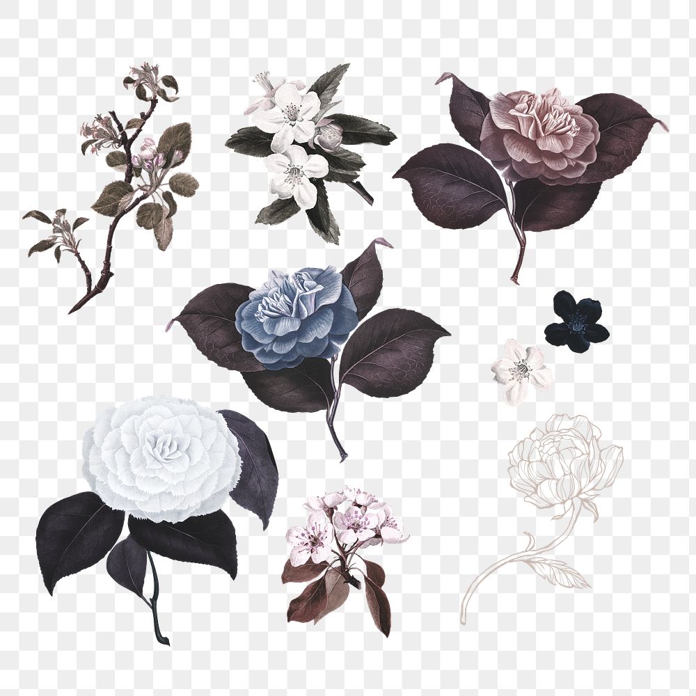 Hand drawn flower in vintage style design element set