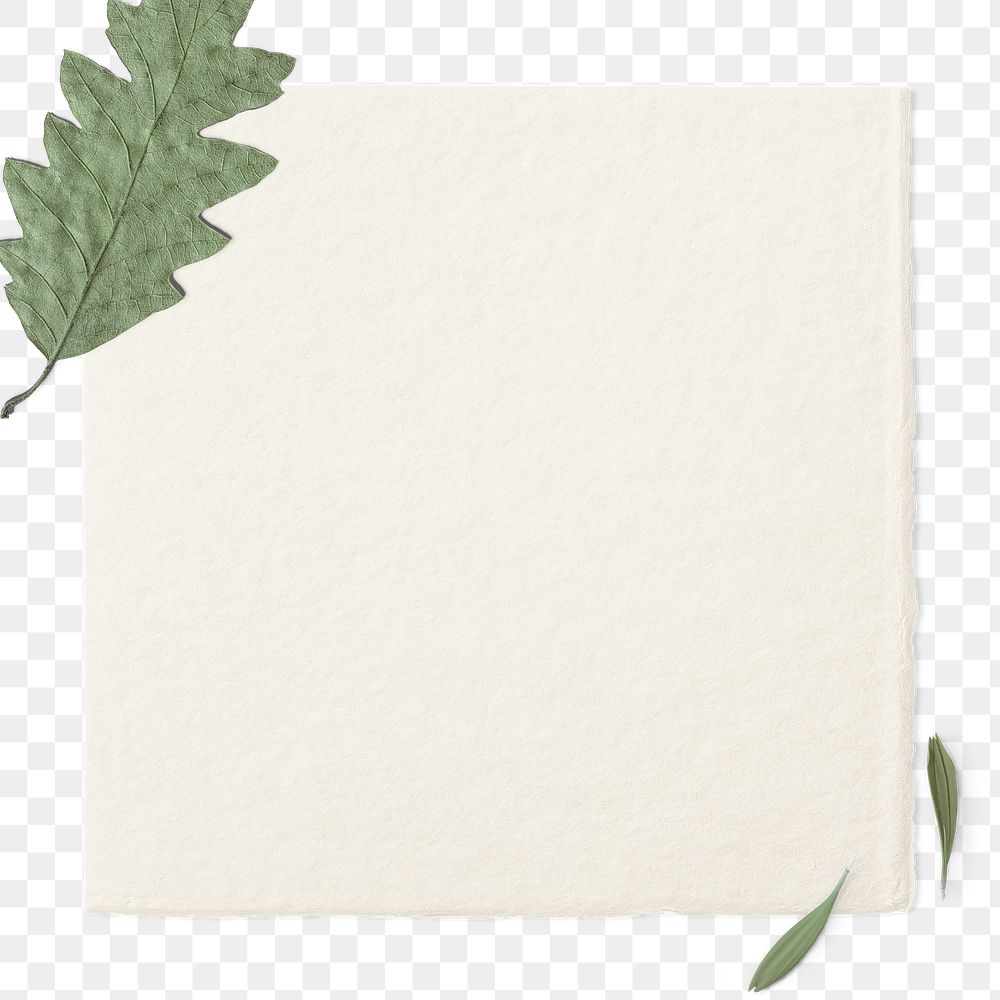 Dry leafy border png on a blank card