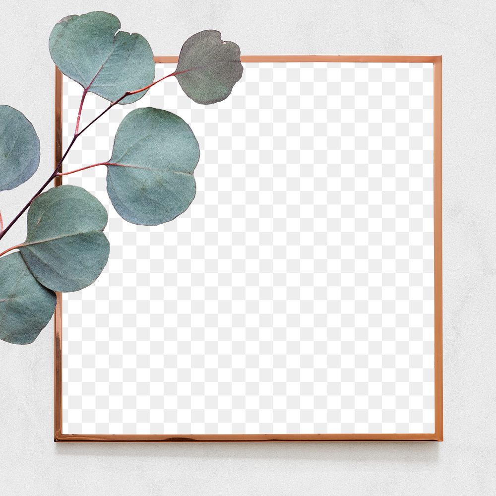 Eucalyptus Gold Frame Png Transparent 