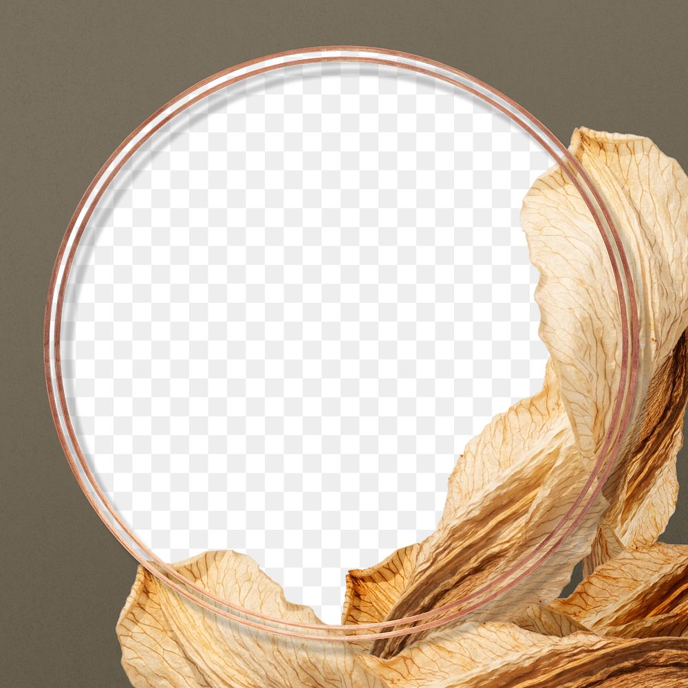Round dried flower frame png in earth tone