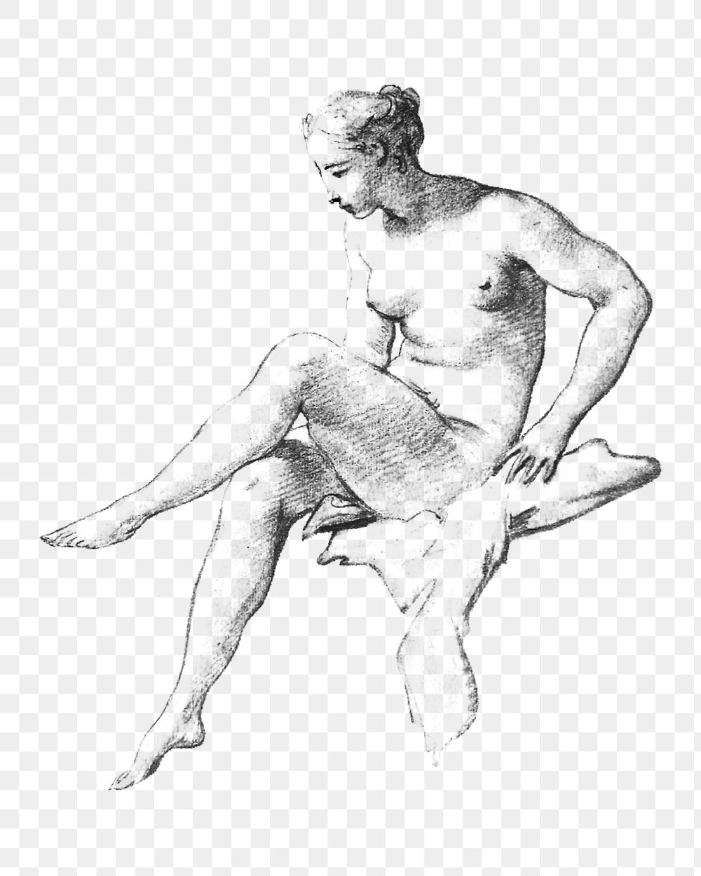 Png female nude pencil sketch