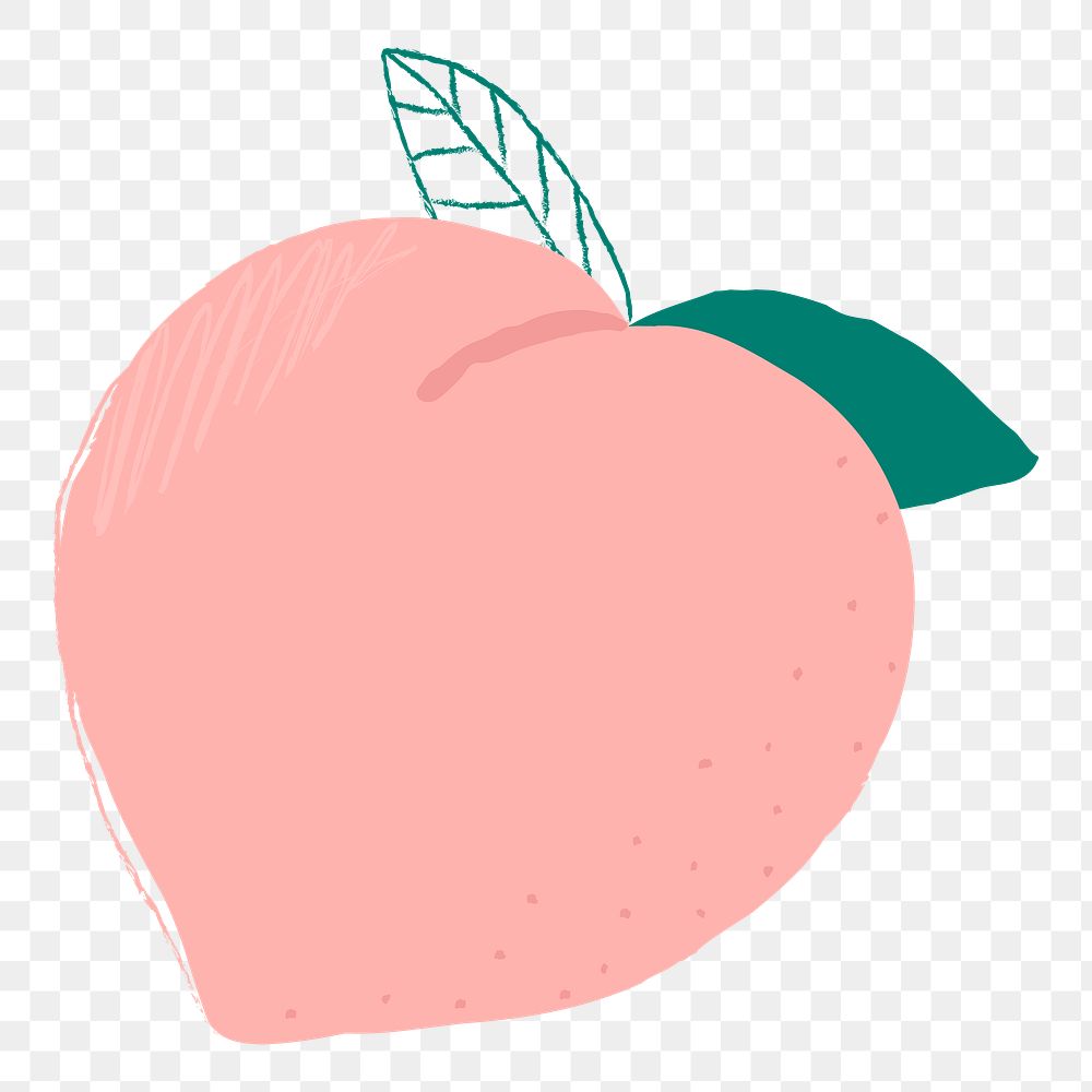 Png pastel hand drawn peach fruit clipart