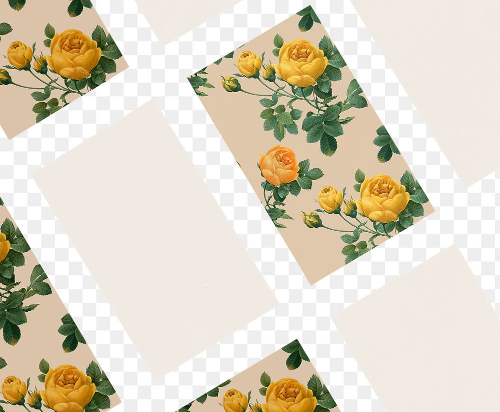 Botanical name card templates set mockup transparent png