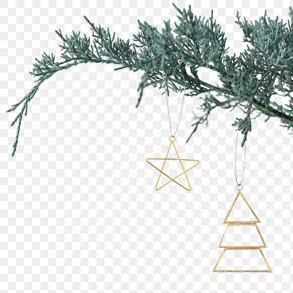 Border png festive Christmas tree pattern background