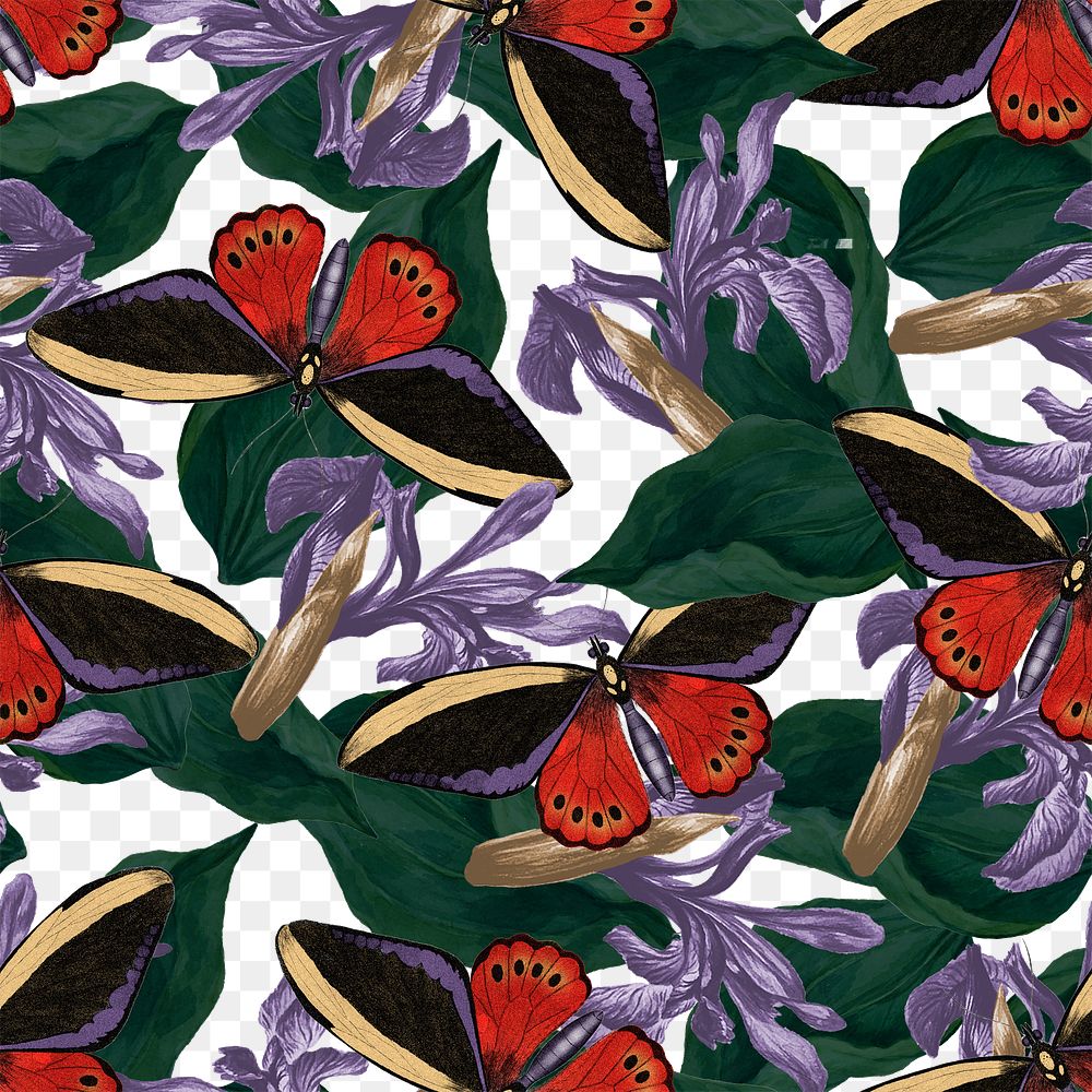 Seamless butterfly floral png pattern, vintage remix from The Naturalist's Miscellany by George Shaw