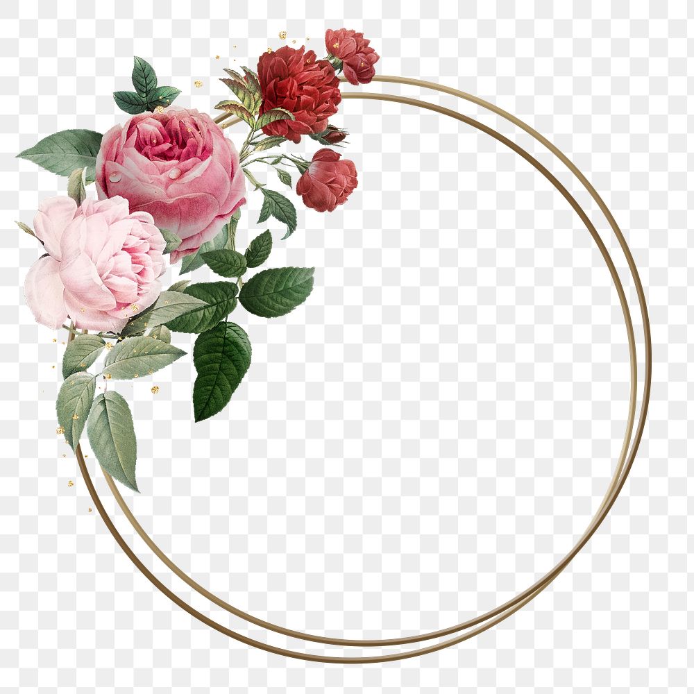 Floral decorated frame png watercolor illustration