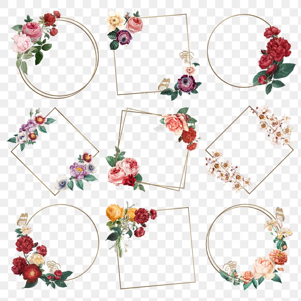 Botanical colorful decorated frame png watercolor illustration set