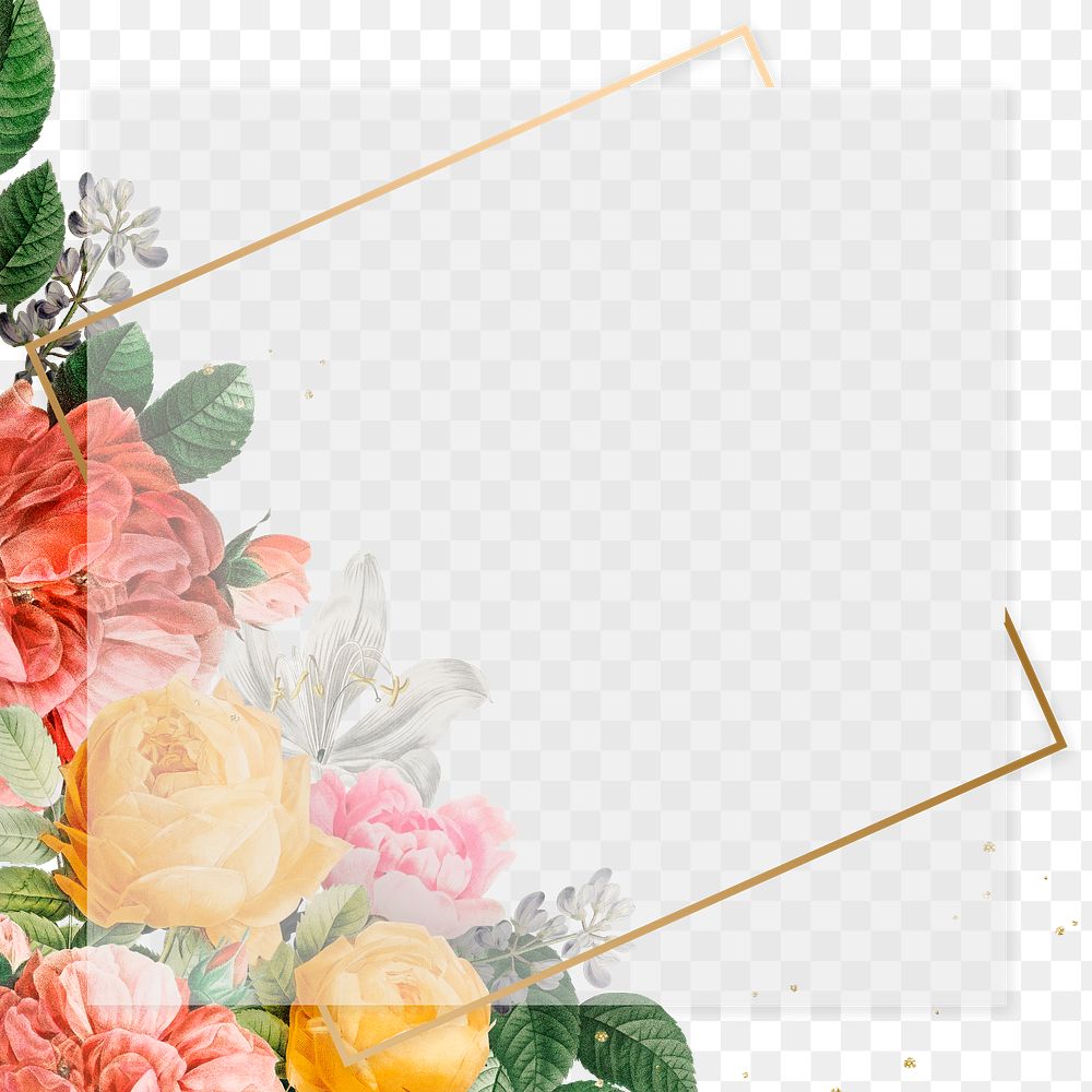 Botanical colorful decorated frame png watercolor illustration