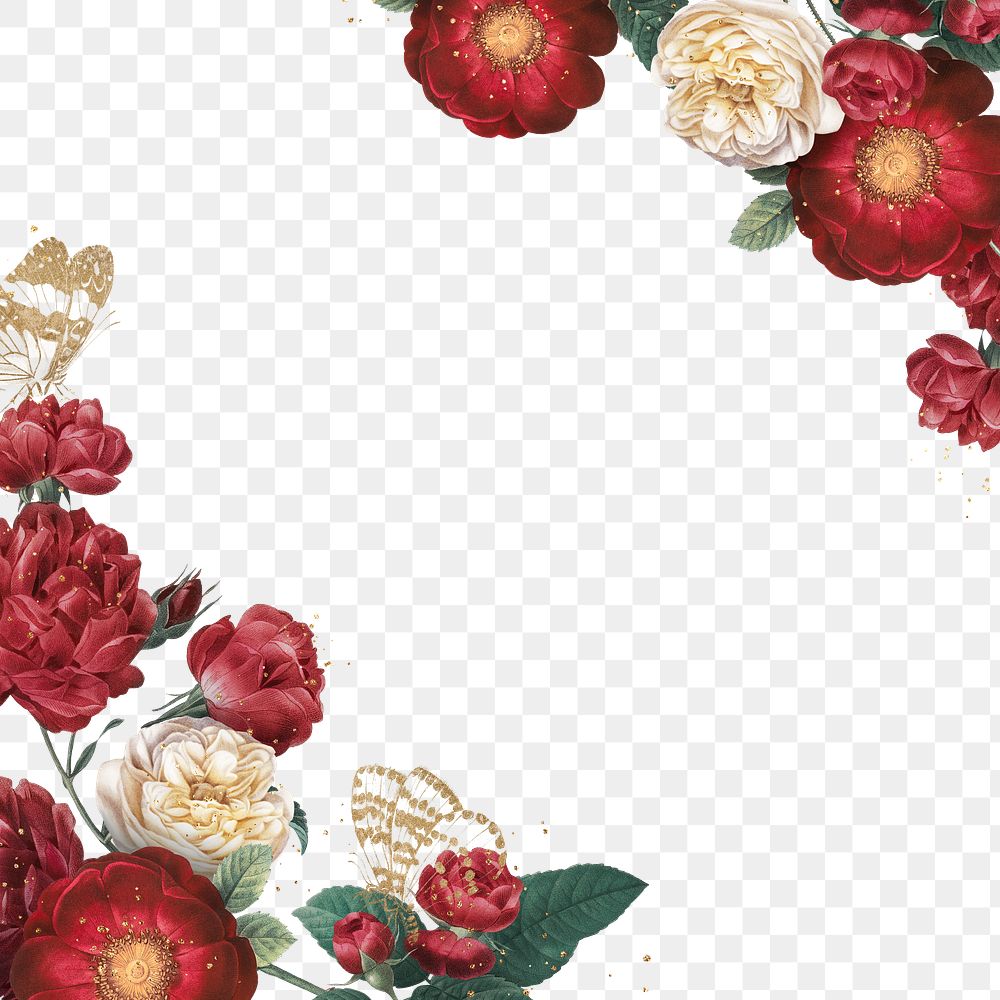 Luxury red roses border png watercolor illustration