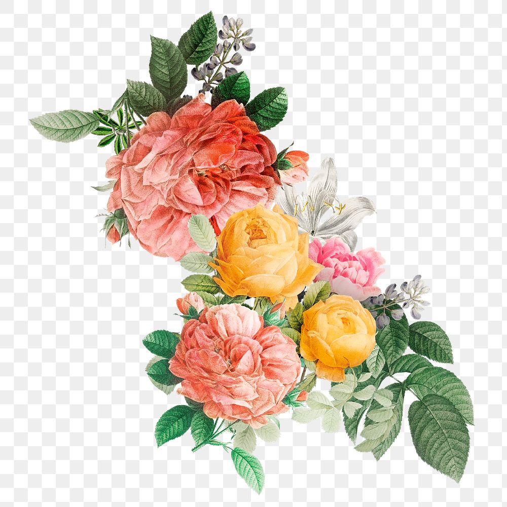 Colorful French roses png bouquet | Premium PNG Sticker - rawpixel