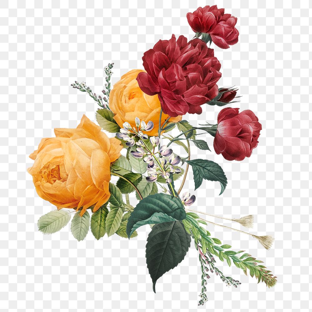 Vintage png yellow red roses bouquet hand drawn illustration