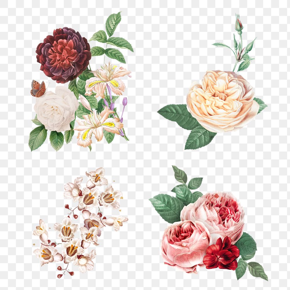 Luxury spring colorful flowers png watercolor illustration collection