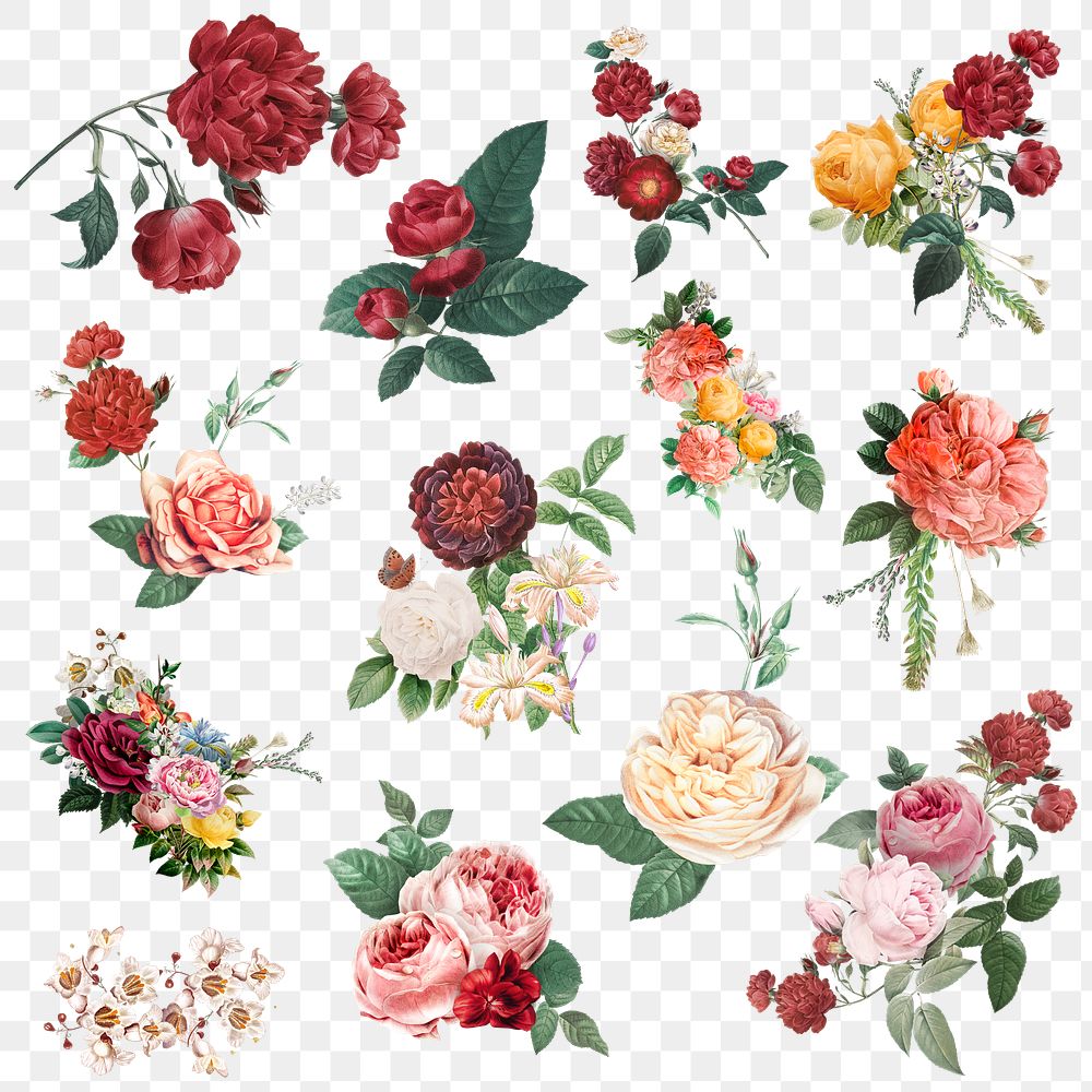 Luxury vintage flowers png colorful watercolor sticker set