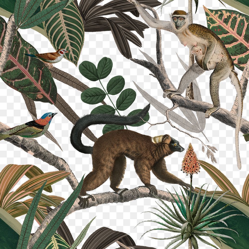 Lemur seamless pattern png transparent background  in the jungle