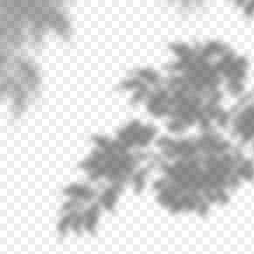 PNG tree shadow design element