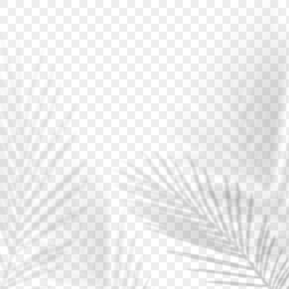 Png palm leaf shadow background, tropical leaves shadow in transparent design