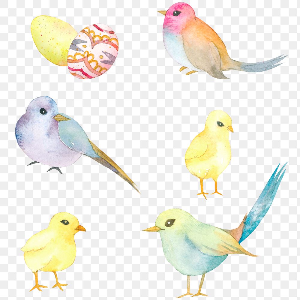 Png Easter Festival design element with egg and birds set