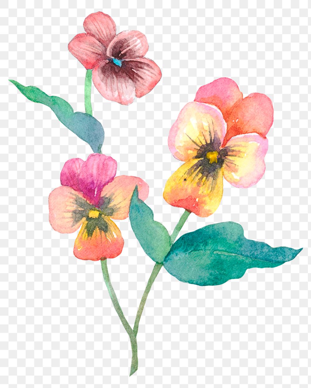 Png Easter spring flowers design element watercolor illustration