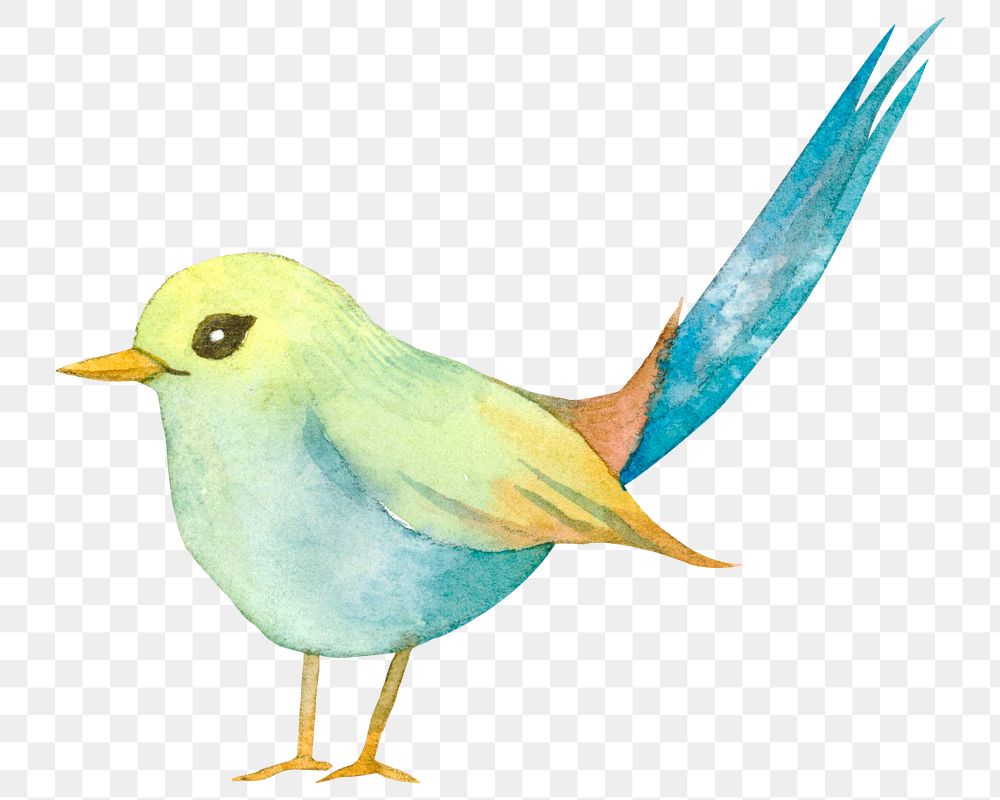 Png Easter bird design element cute watercolor illustration 