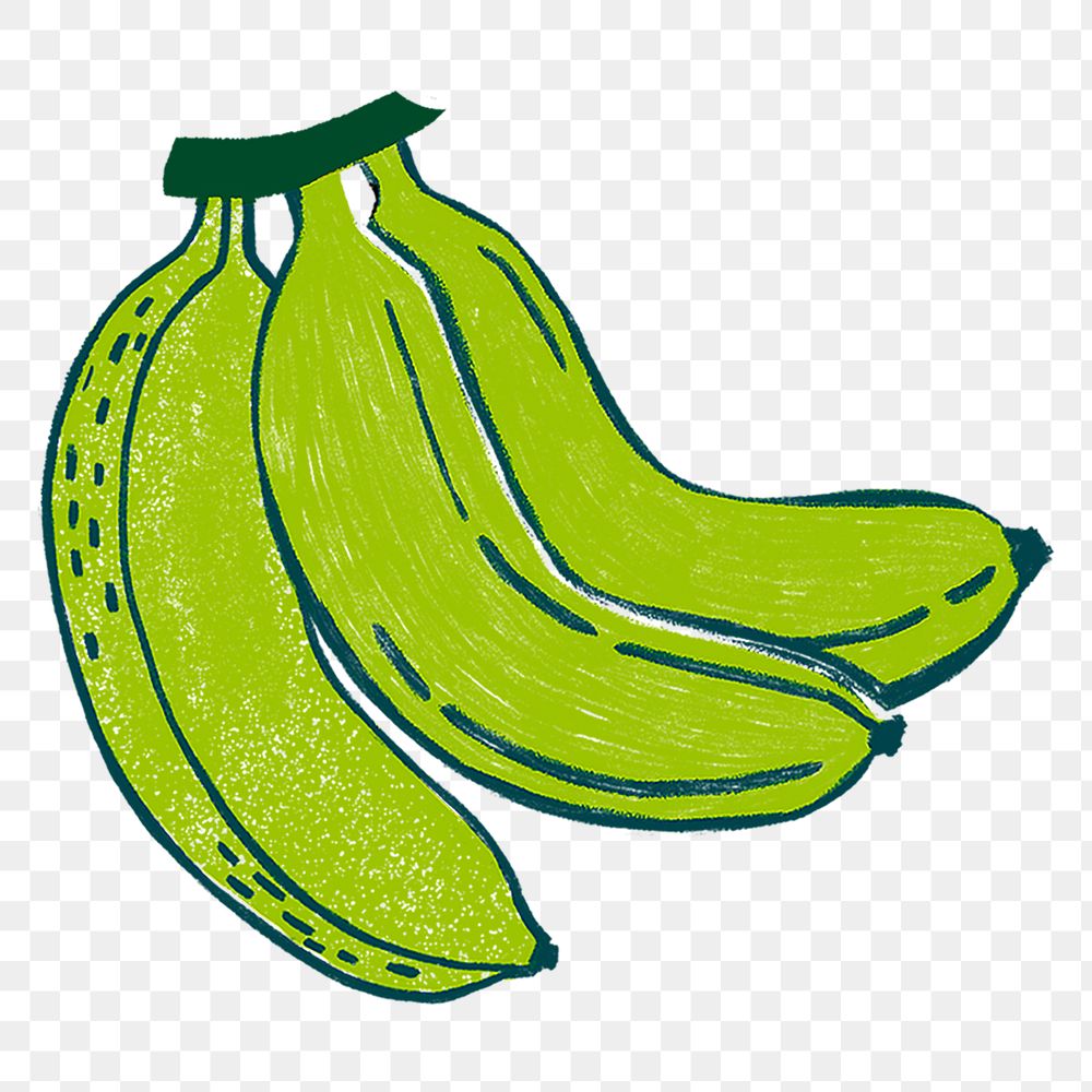 Green banana png sticker tropical illustration