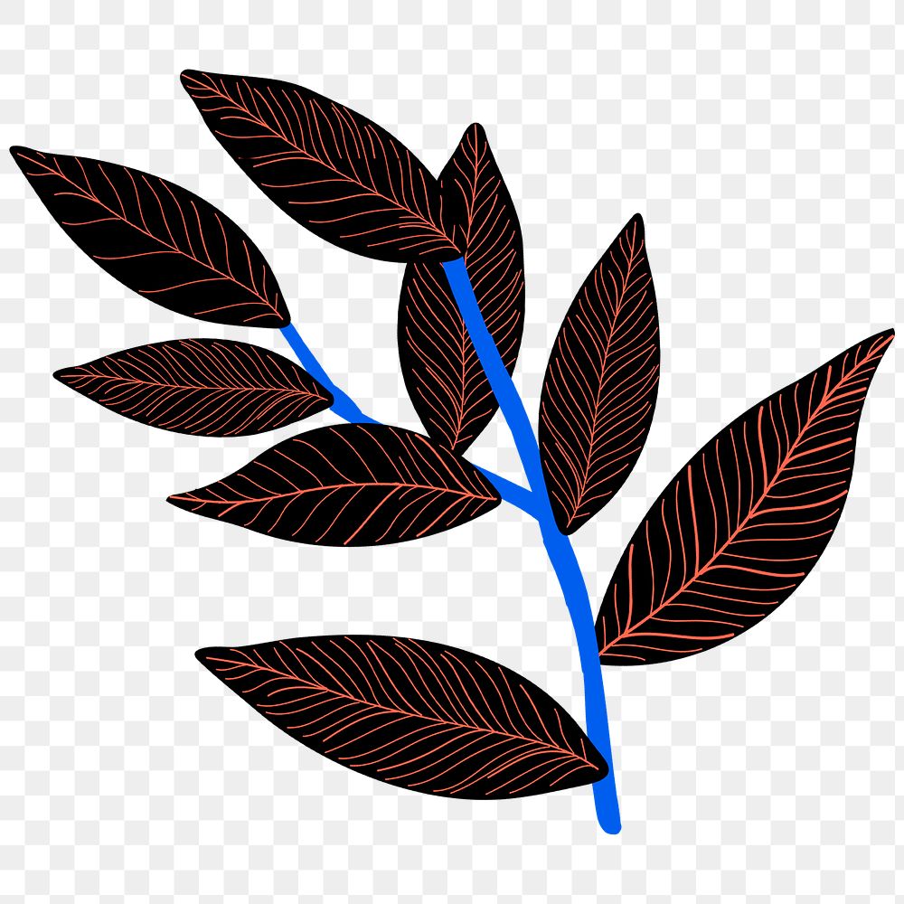 Leaf png sticker tropical illustration