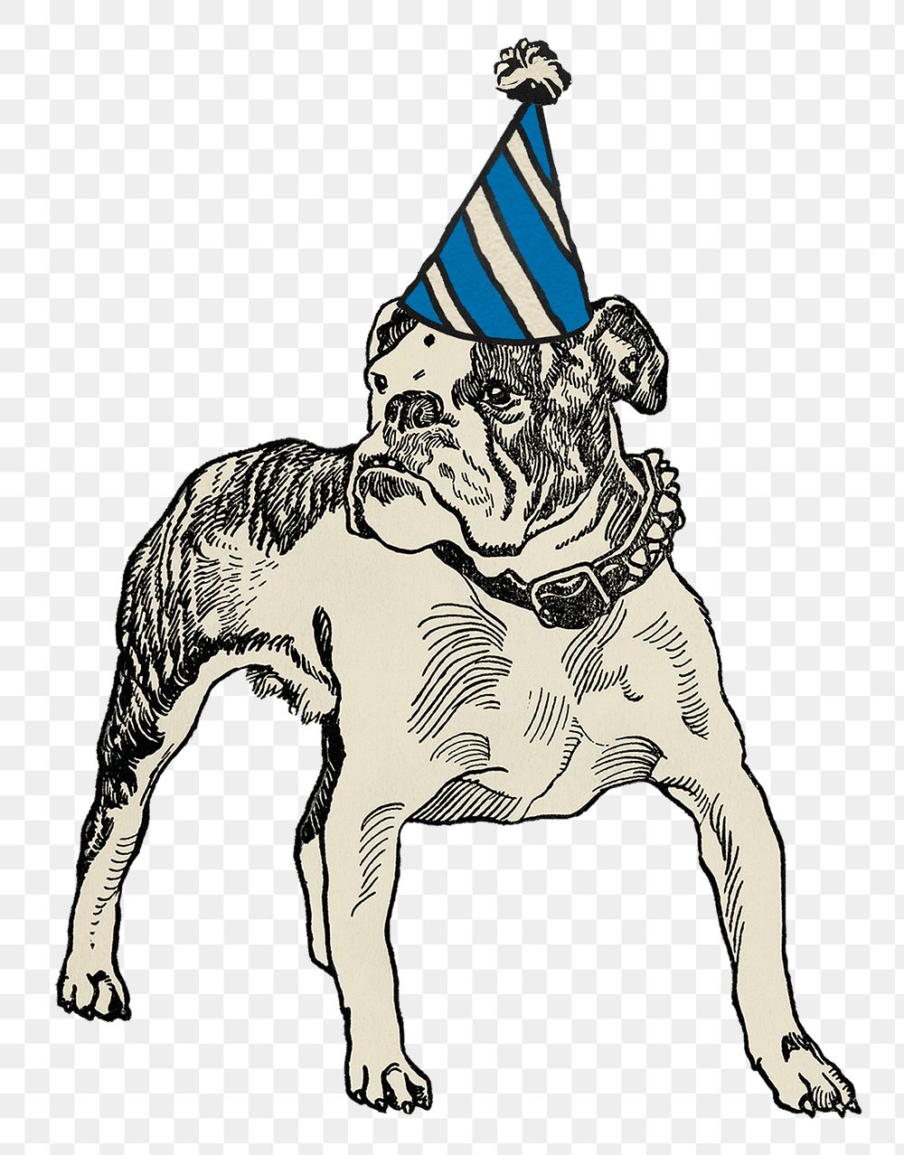 Birthday png dog sticker pit-bull with cute party hat, remixed from artworks by Moriz Jung