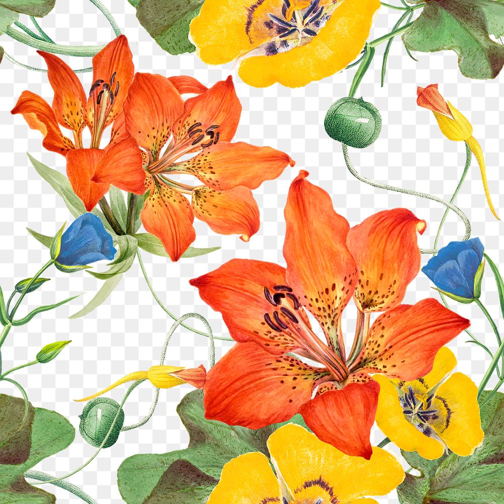 Png vintage floral seamless pattern transparent background, remixed from public domain artworks