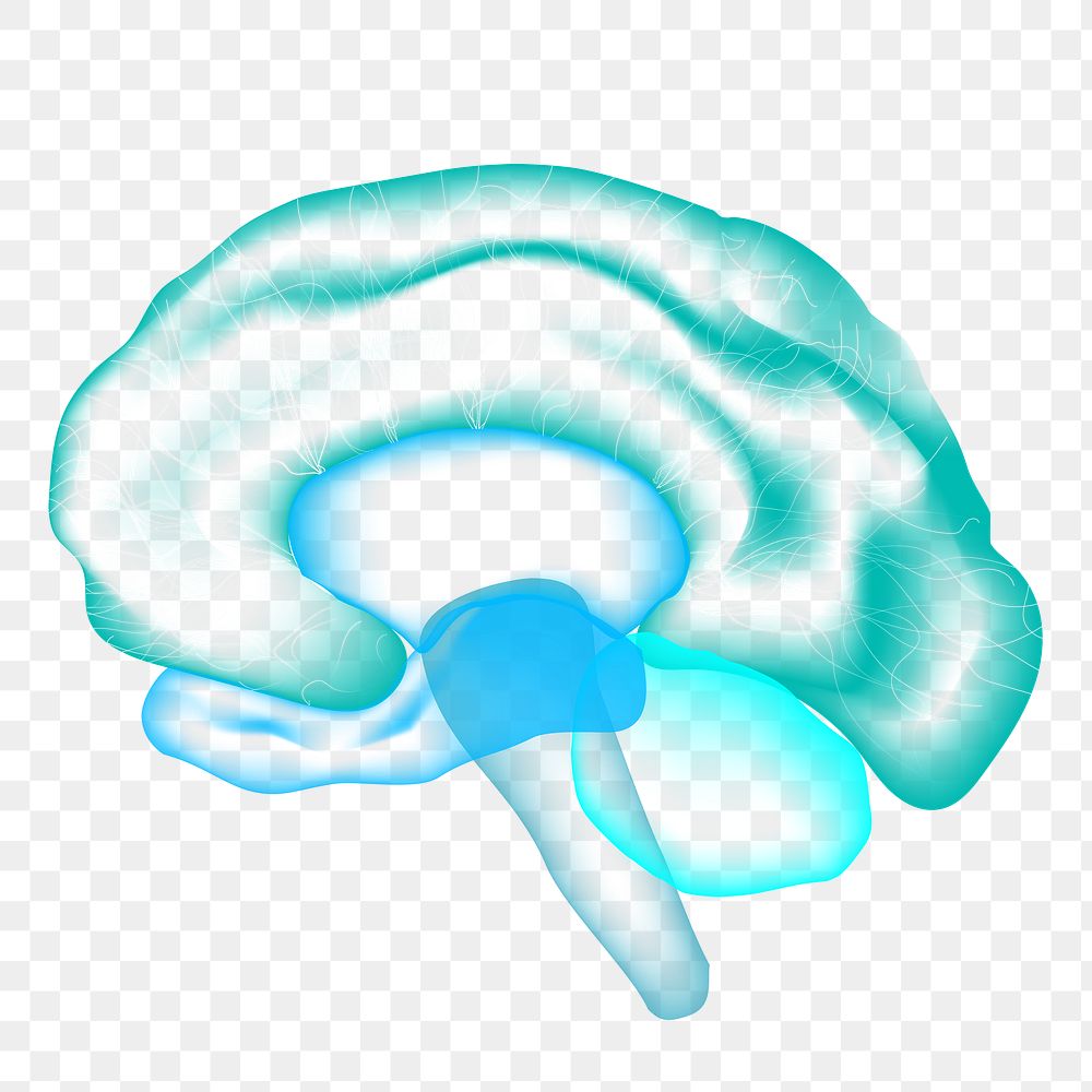Brain png clipart for mental health care medical technology