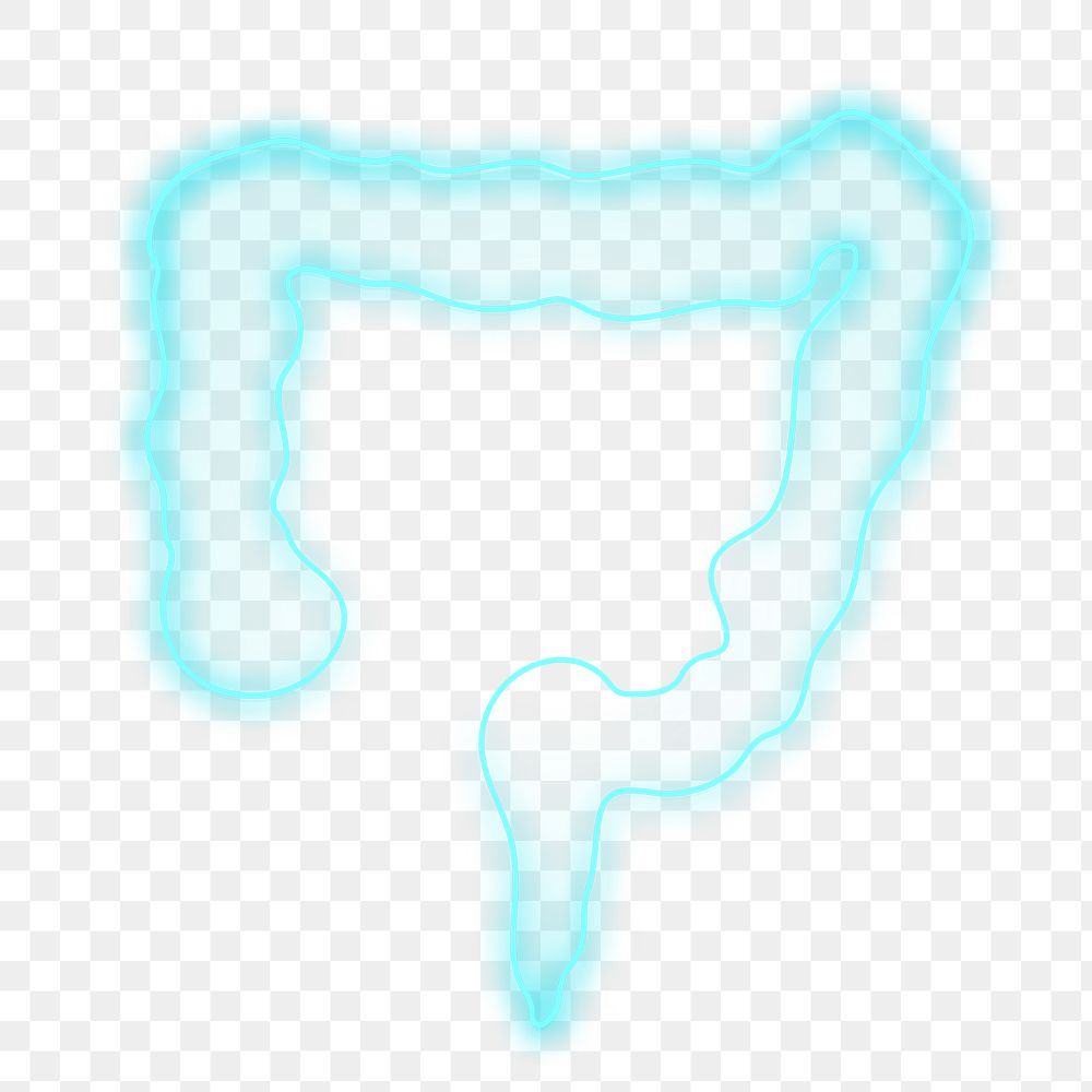 Blue intestine icon png clipart for digestive system healthcare