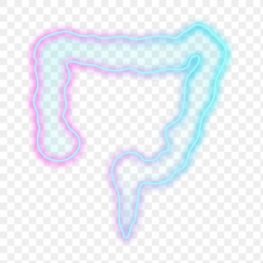 Intestine icon png clipart for digestive system healthcare