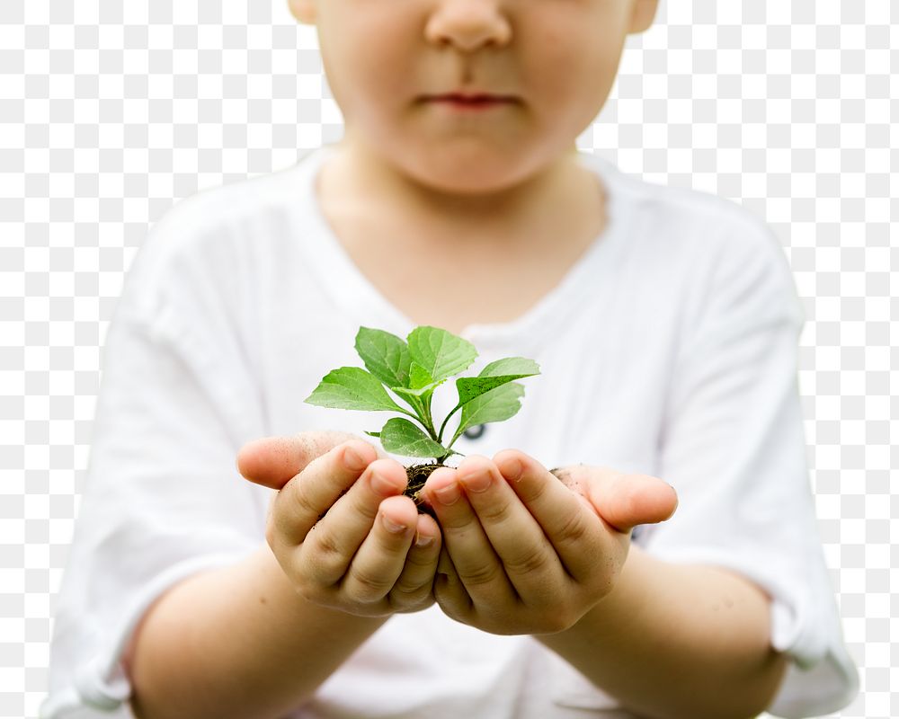 Boy holding plant png mockup for environment campaign