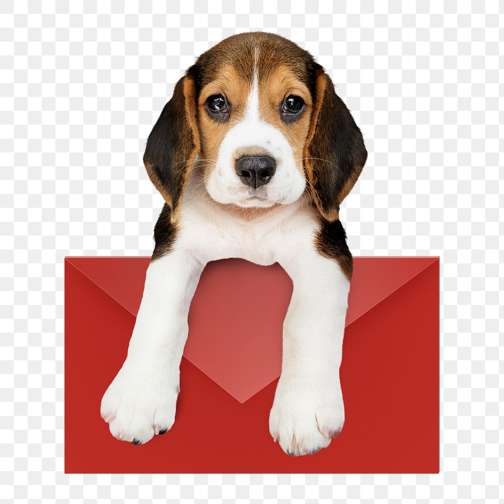 Puppy png, with envelope sticker, cute collage element on transparent background