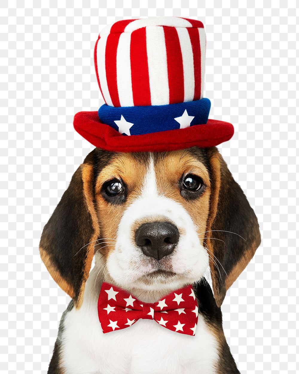 Puppy png sticker, wearing uncle Sam costume, cute collage element on transparent background