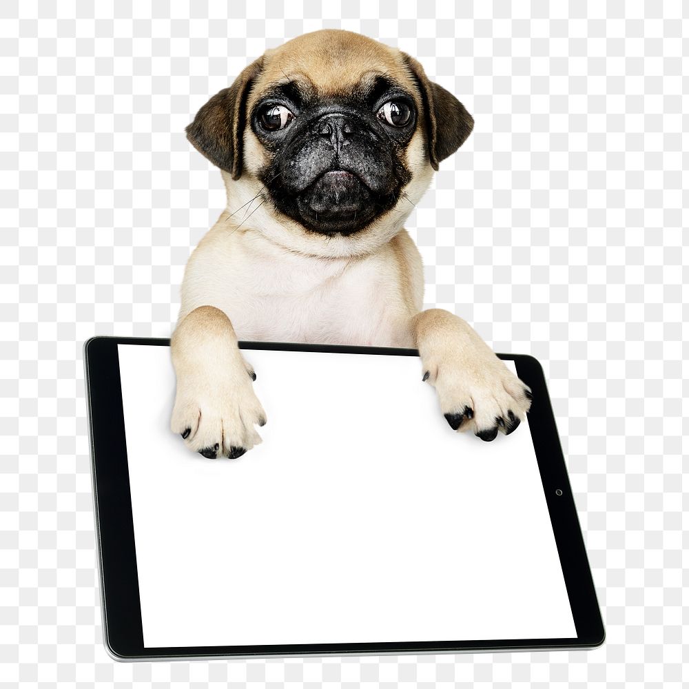 Png puppy sticker, Pug on tablet collage element, transparent background