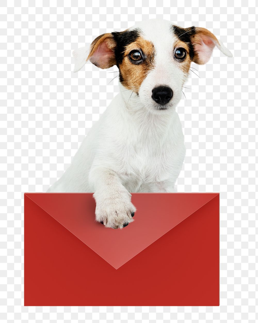 Valentine's puppy png sticker, holding envelope, cute collage element on transparent background