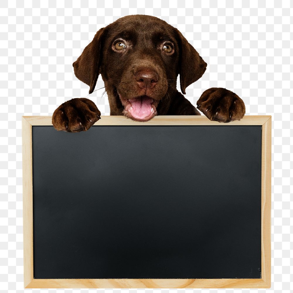 Puppy png, holding board sticker, cute collage element on transparent background