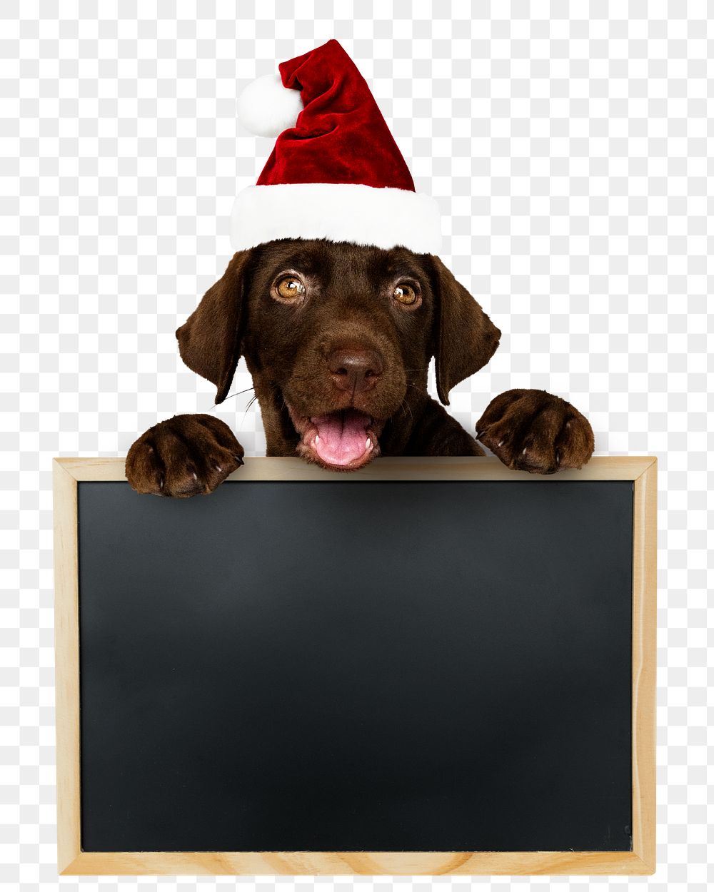 Christmas puppy png, holding board sticker, cute collage element on transparent background