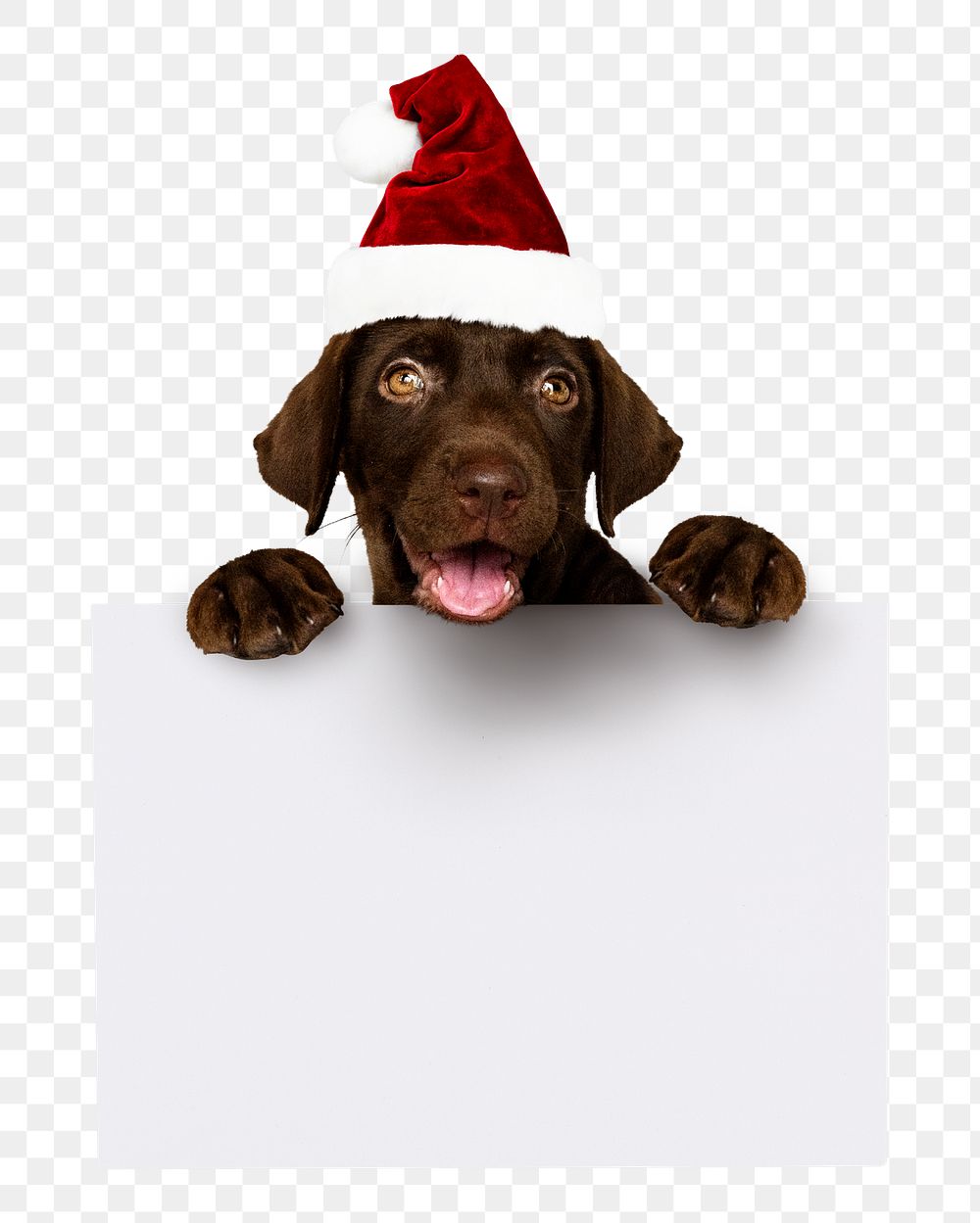 Christmas puppy png, holding board sticker, cute collage element on transparent background