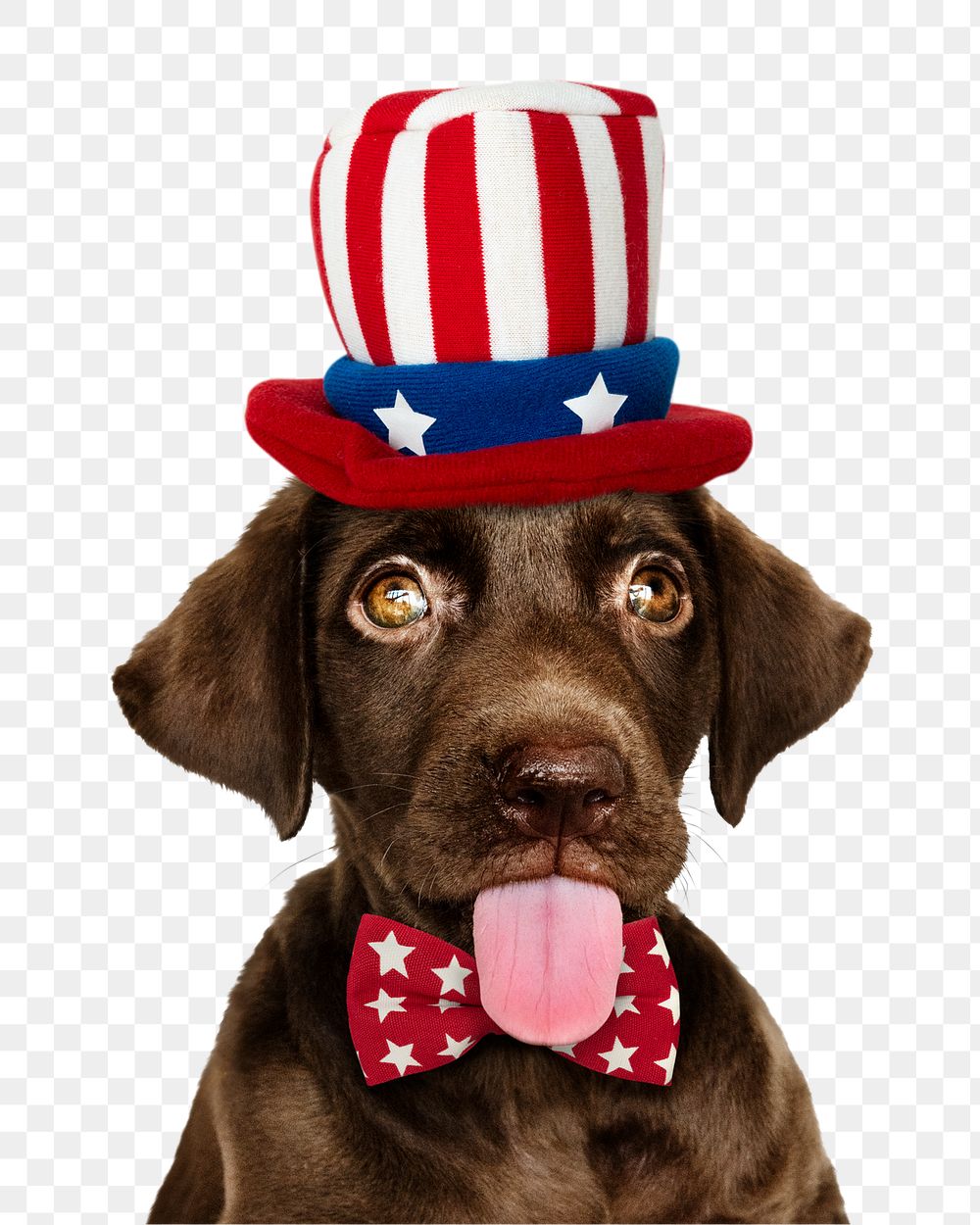 Uncle Sam png puppy sticker, Labrador Retriever collage element on transparent background