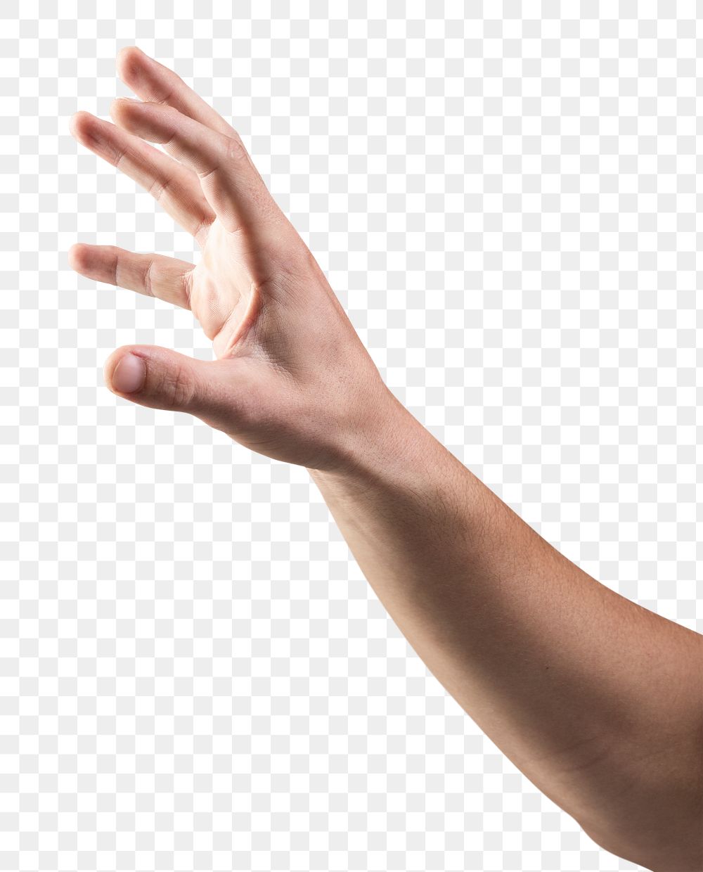 Empty hand on transparent png background