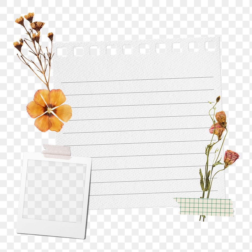 Aesthetic Autumn png paper collage, flowers on transparent background